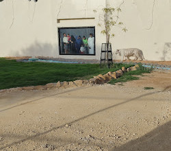 Riyadh Zoo