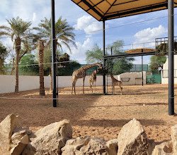 Riyadh Zoo