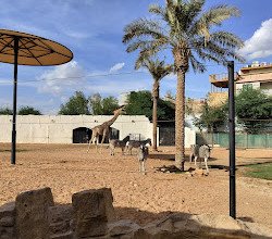 Riyadh Zoo