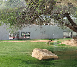 Riyadh Zoo