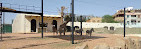 Riyadh Zoo