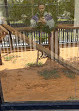 Riyadh Zoo