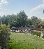 Riyadh Zoo