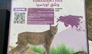 Riyadh Zoo