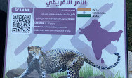 Riyadh Zoo