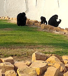 Riyadh Zoo