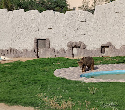 Riyadh Zoo