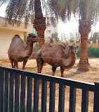 Riyadh Zoo