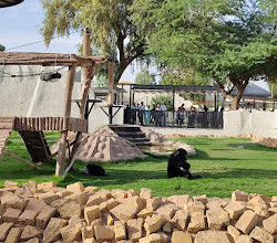 Riyadh Zoo