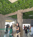 Riyadh Zoo