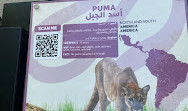 Riyadh Zoo