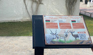 Riyadh Zoo