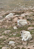 گذرگاه منظره کوه آبی آسمان