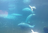 MarineLand