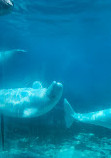 MarineLand