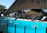 Marineland