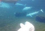 MarineLand