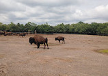 MarineLand