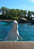 Marineland