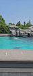 MarineLand