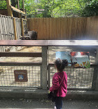 Zoológico del Bronx
