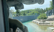 Toronto Zoo