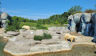 Toronto Zoo