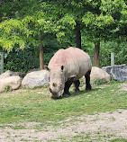 Toronto Zoo