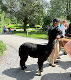 Toronto Zoo