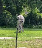 Toronto Zoo