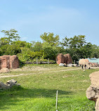 Toronto Zoo