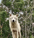 Toronto Zoo