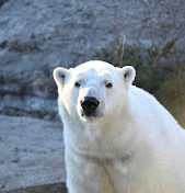 Toronto Zoo