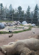 Toronto Zoo