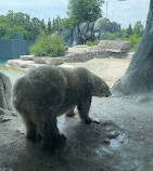 Toronto Zoo