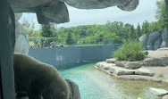 Toronto Zoo