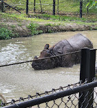 Toronto Zoo