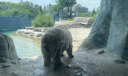 Toronto Zoo