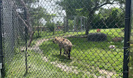 Toronto Zoo