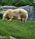 Toronto Zoo