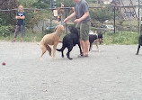 Upshur Dog Park