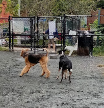 Upshur Dog Park