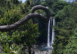 Seogwipo Jeongbang Waterfall