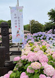 Jeju Folk Village