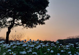 Jeju Folk Village