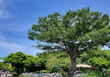 Jeju Folk Village