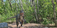 Zoo du parc Assiniboine