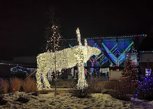 Zoo du parc Assiniboine