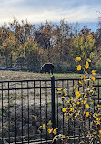 Zoo du parc Assiniboine