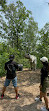 Assiniboine Park Zoo